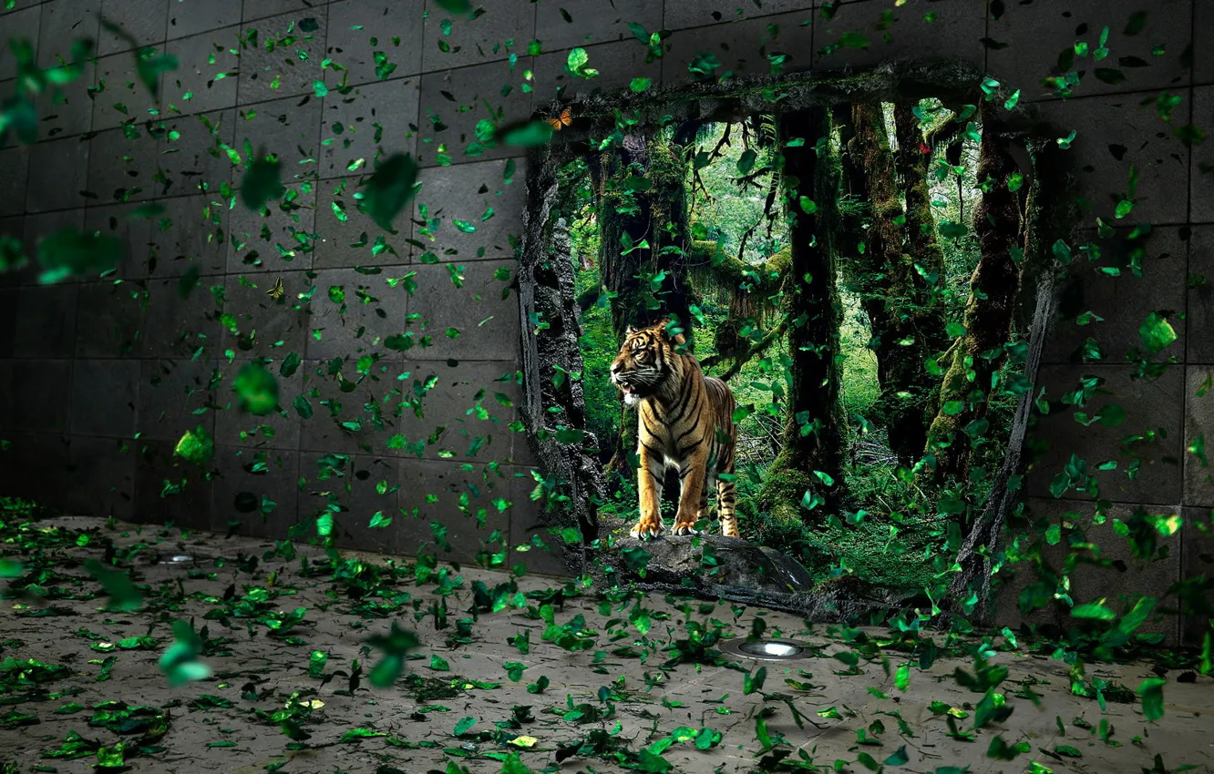 Photo wallpaper leaves, tiger, wall, hole