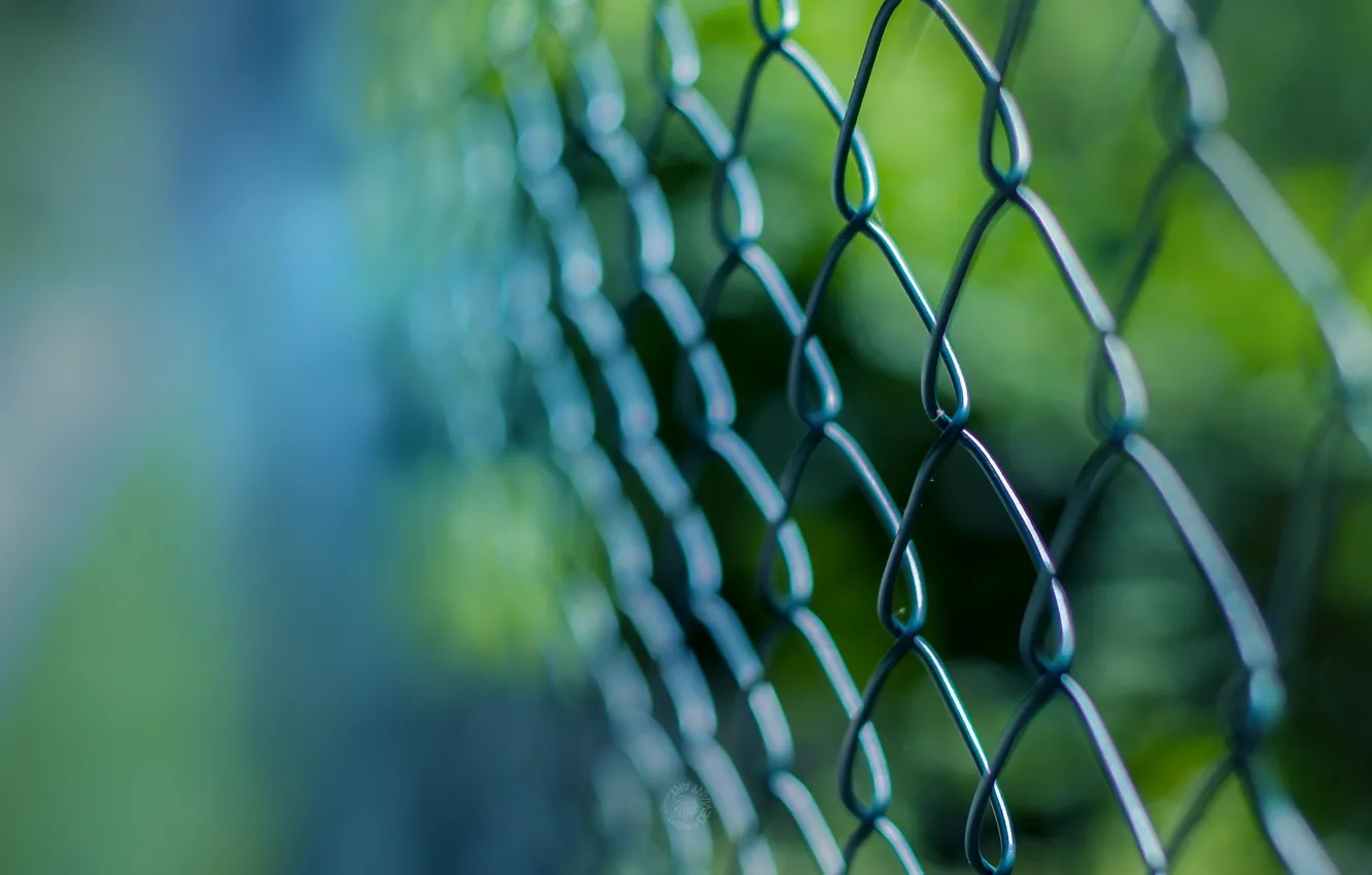 Photo wallpaper macro, mesh, the fence, grille
