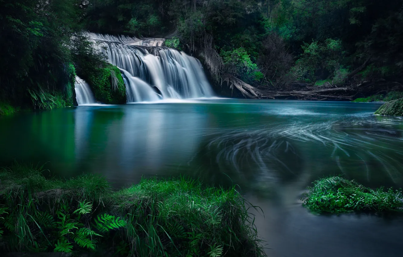 Photo wallpaper forest, river, waterfall, New Zealand, cascade, New Zealand, Hawke's Bay, River Maraetotara