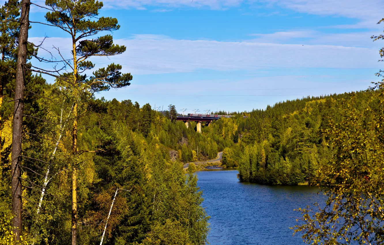 Photo wallpaper road, forest, bridge, river, train, railroad, Russia, Irkutsk