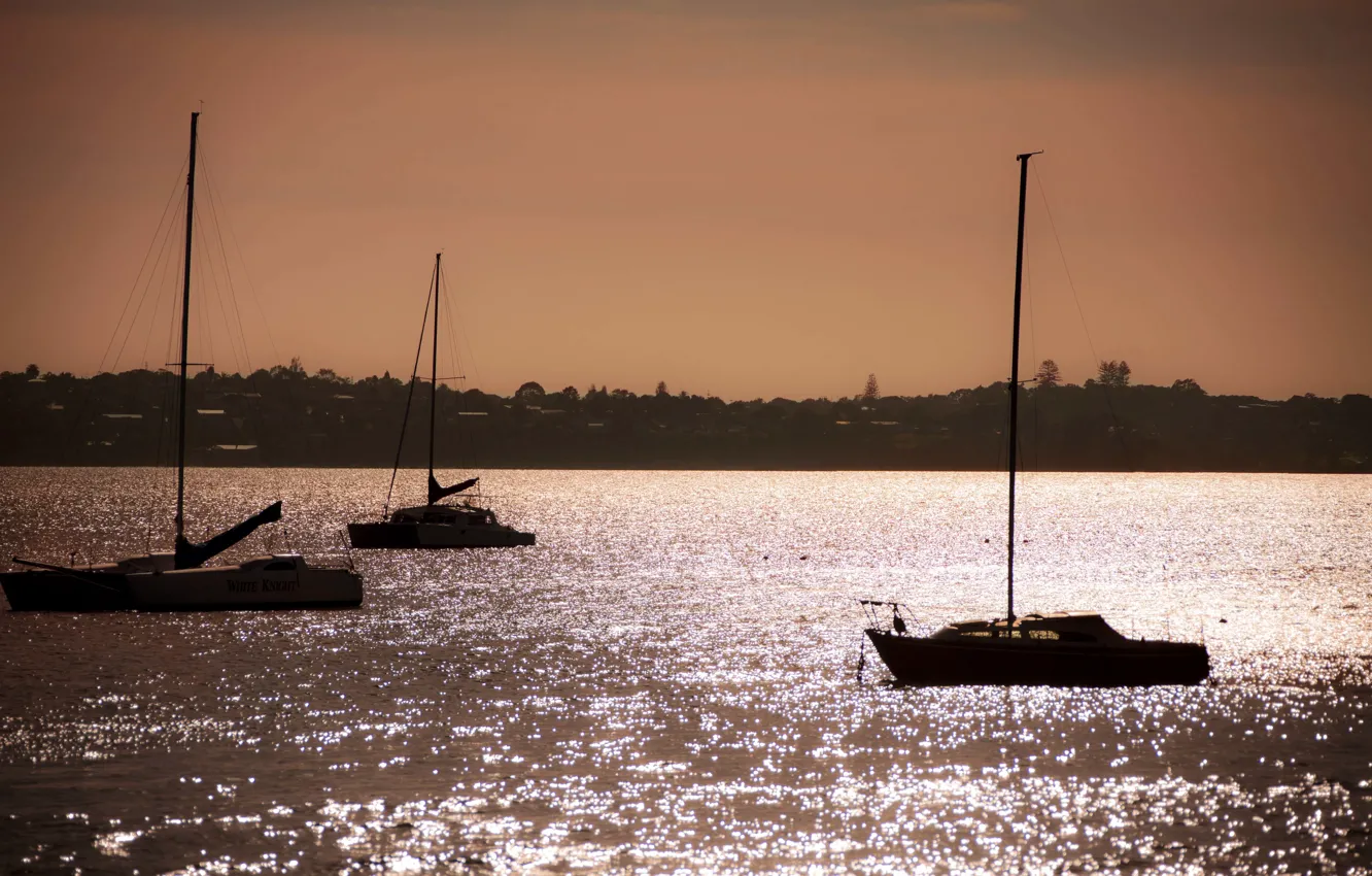 Photo wallpaper sea, shore, the evening, yacht, sailboats, Aukland
