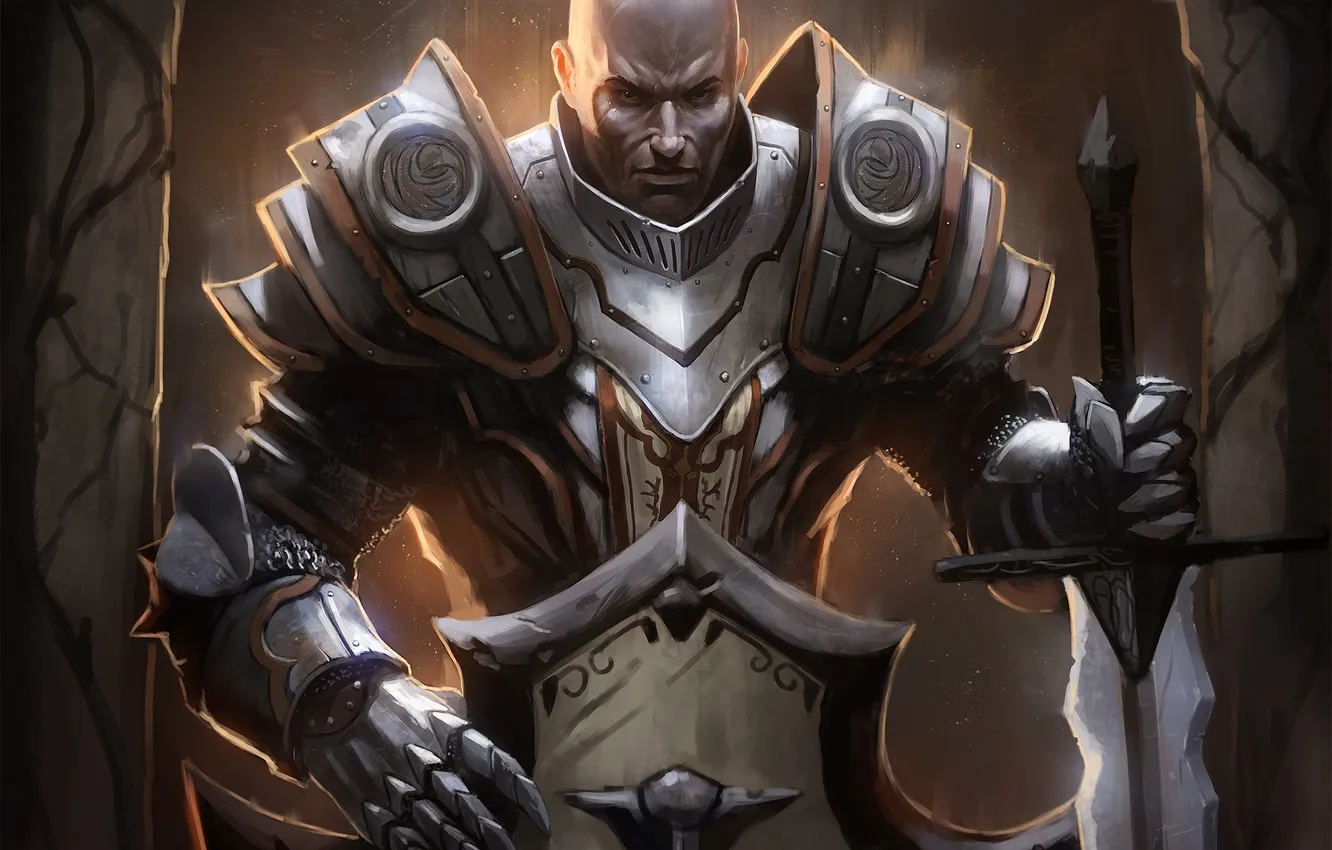 Photo wallpaper sword, shield, Diablo 3, Crusader, Diablo III - Reaper of Souls