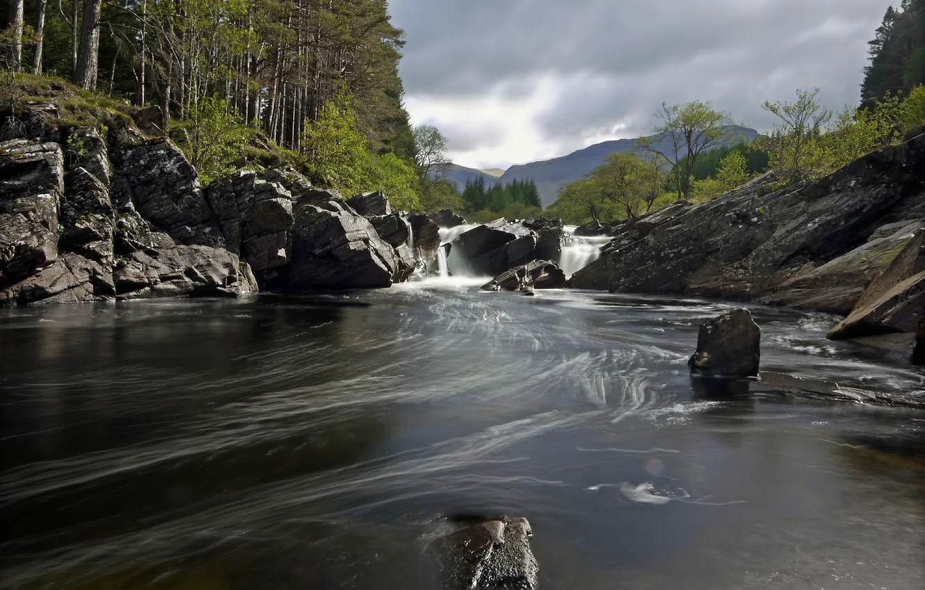 Photo wallpaper forest, river, stones