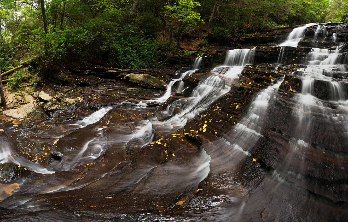 Photo wallpaper landscape, nature, river