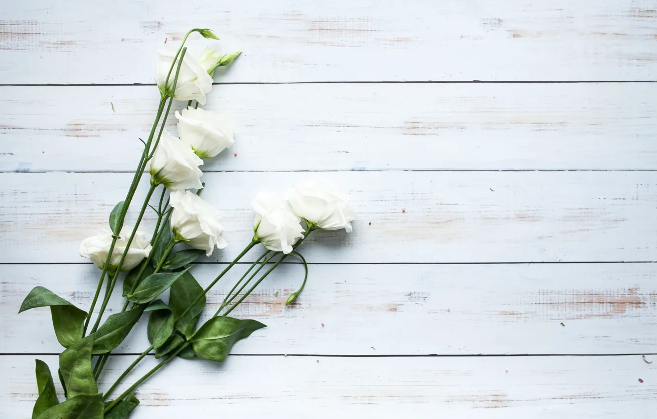 Photo wallpaper flowers, bouquet, eustoma