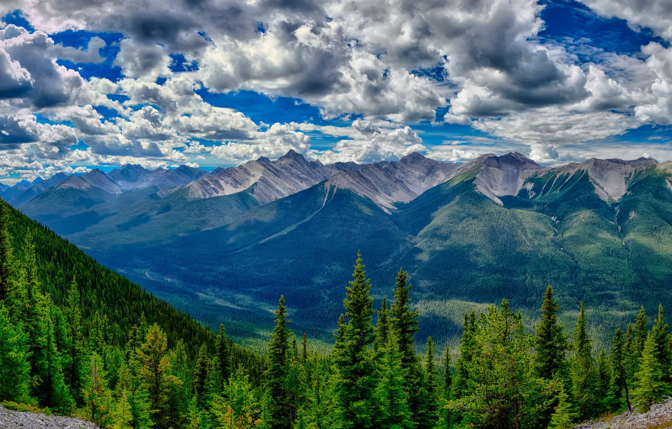 Photo wallpaper forest, clouds, trees, mountains, HDR, valley, Canada, Albert