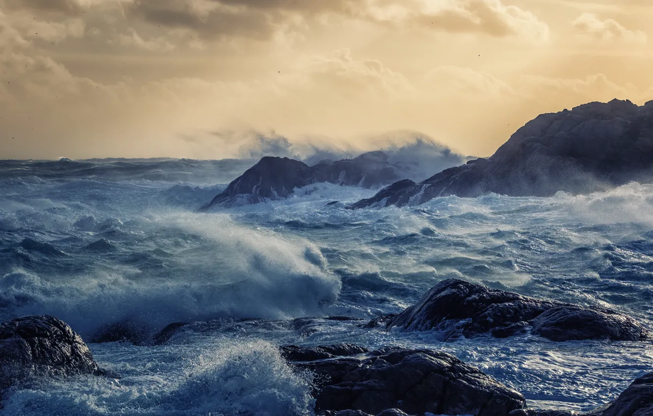 Photo wallpaper sea, wave, storm, shore
