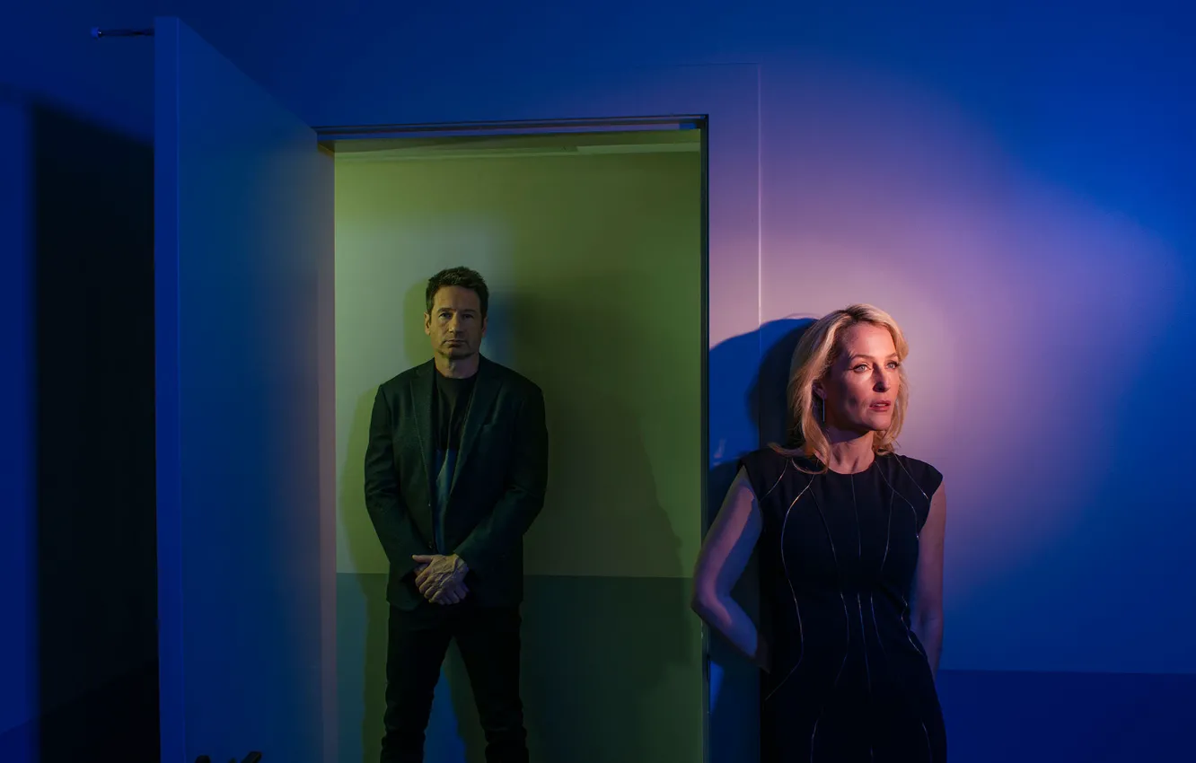 Photo wallpaper the series, The X-Files, Classified material, Daviddukhovny, Foxmalder, Gillian Anderson, DanaScalli