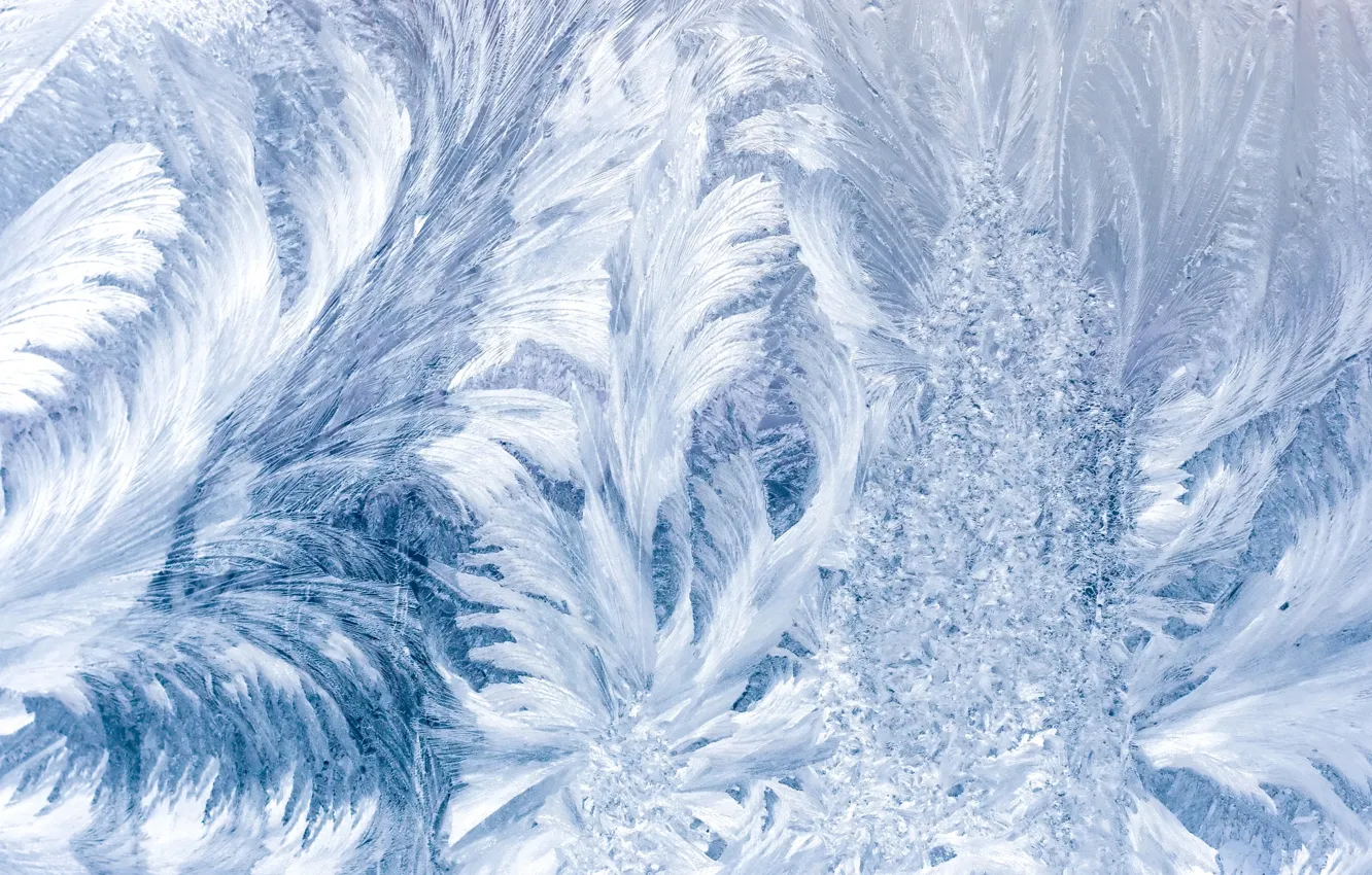 Photo wallpaper winter, frost, glass, pattern, frost