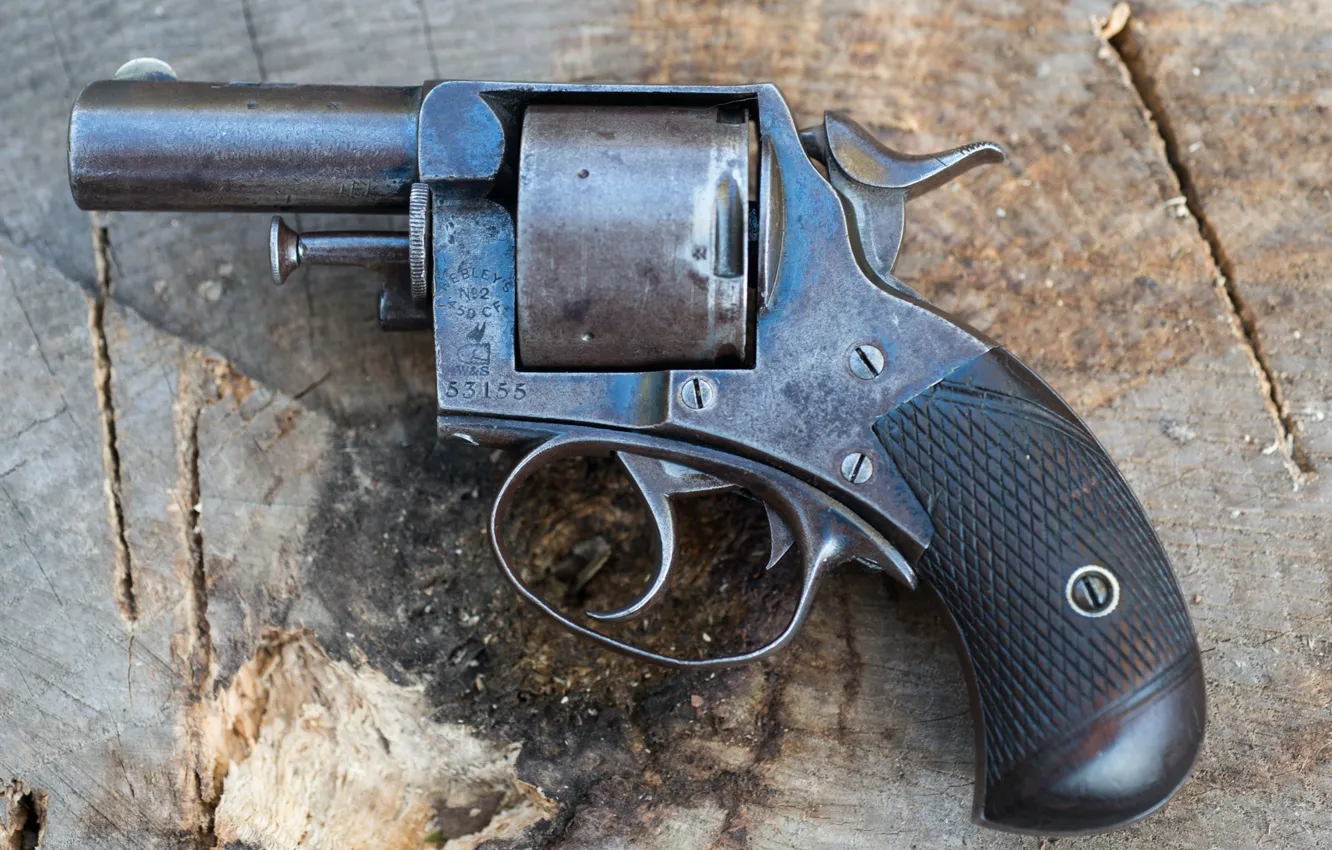 Photo wallpaper gun, background, Bulldog, Webley, 450CF