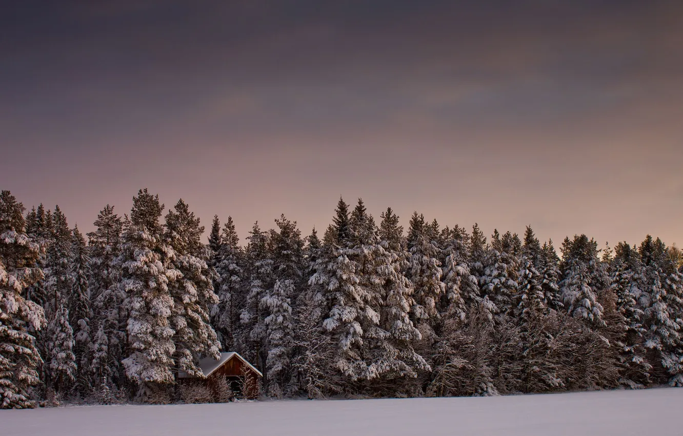 Photo wallpaper winter, field, forest, the sky, clouds, snow, trees, landscape