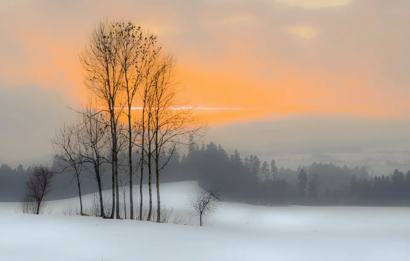 Photo wallpaper winter, sunset, fog
