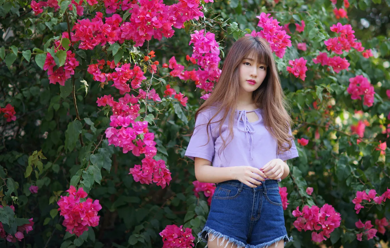 Photo wallpaper look, hair, Asian, cutie