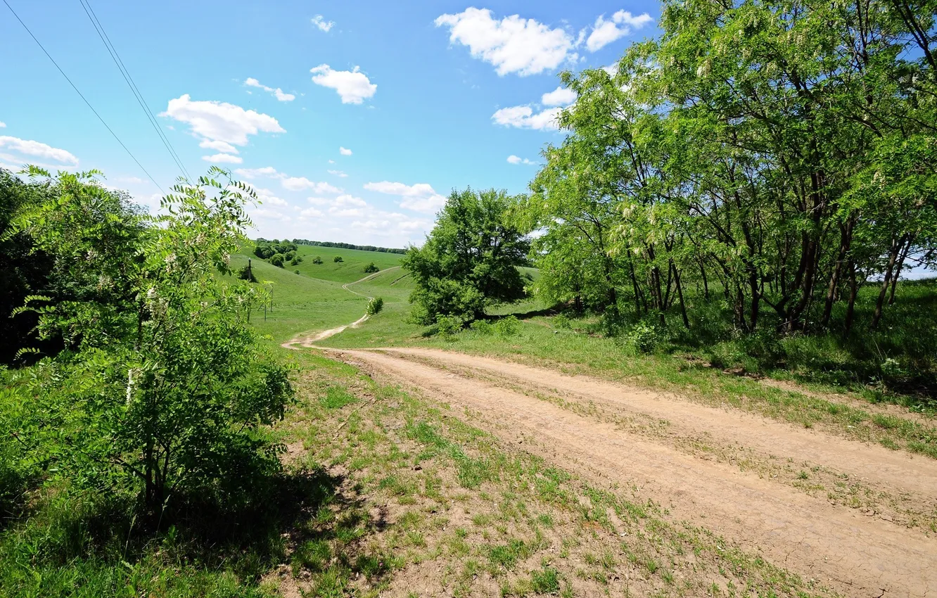 Photo wallpaper road, field, summer, the sky, trees, country
