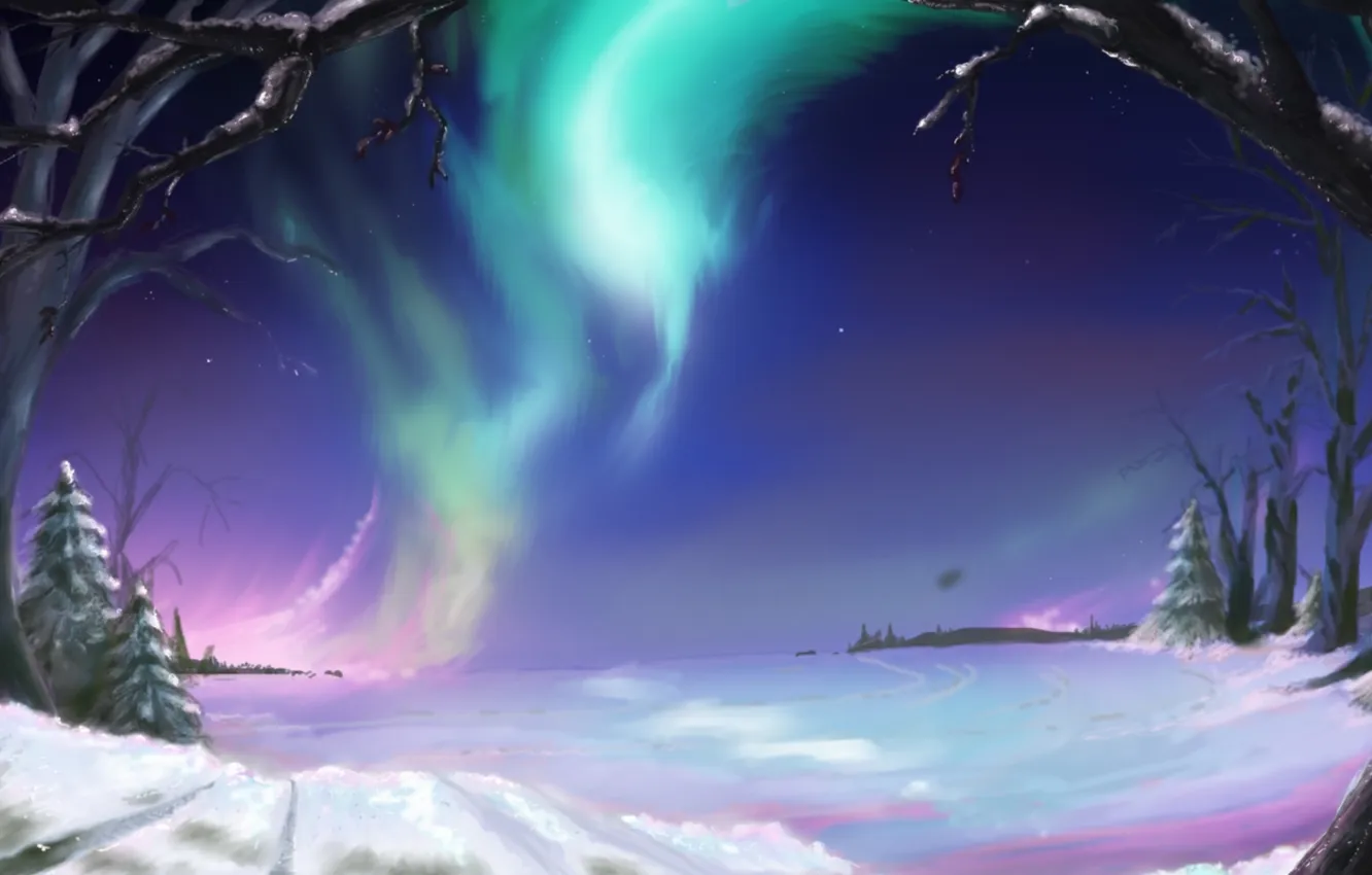 Photo wallpaper cold, winter, road, the sky, light, snow, trees, branches