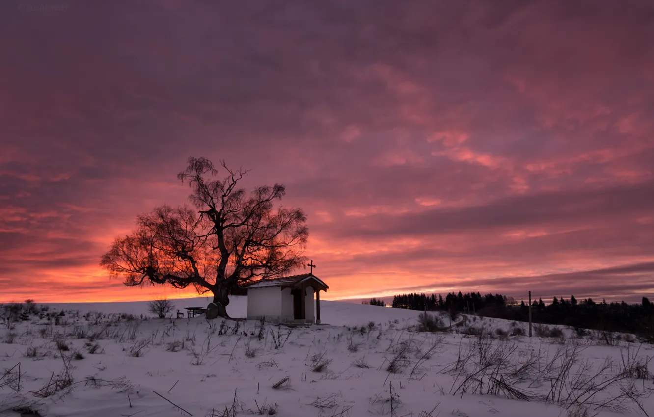 Photo wallpaper winter, clouds, snow, trees, plan, sunrise, Bulgaria, St. Cyprian Chapel