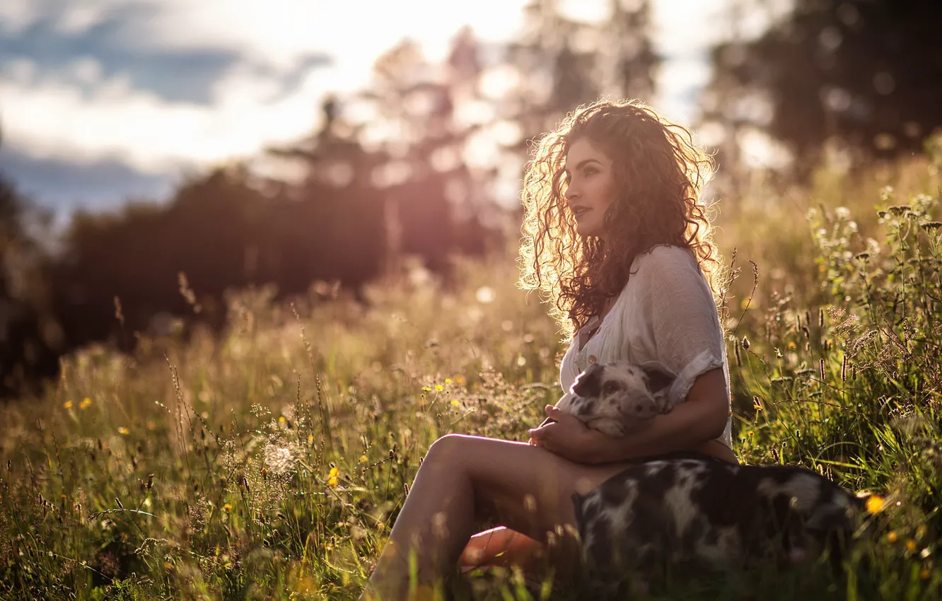 Photo wallpaper summer, grass, girl, pig, bokeh, pigs