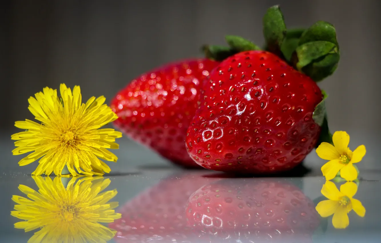 Photo wallpaper flowers, strawberry, berry