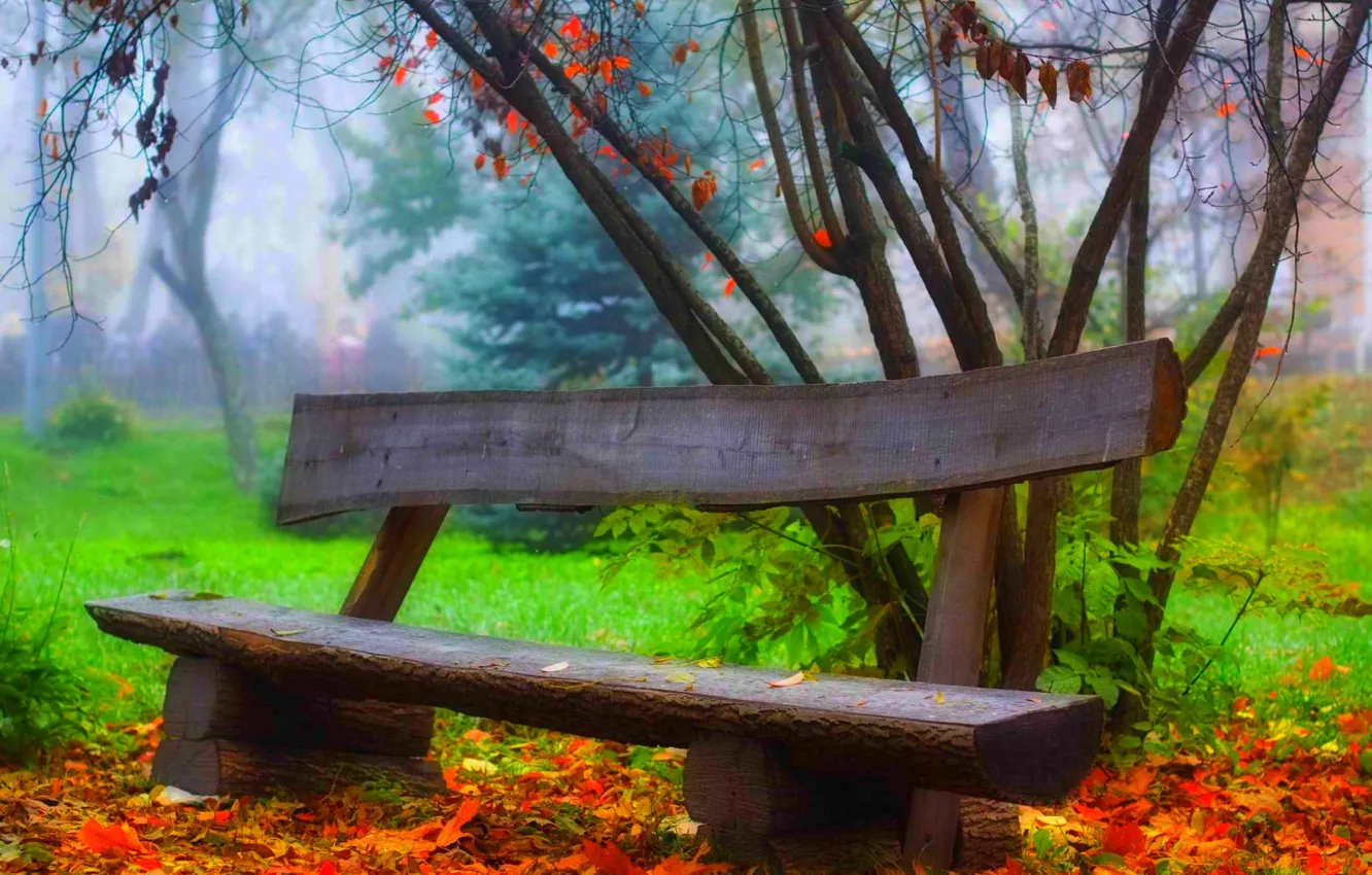 Photo wallpaper autumn, forest, grass, leaves, trees, bench, nature, Park