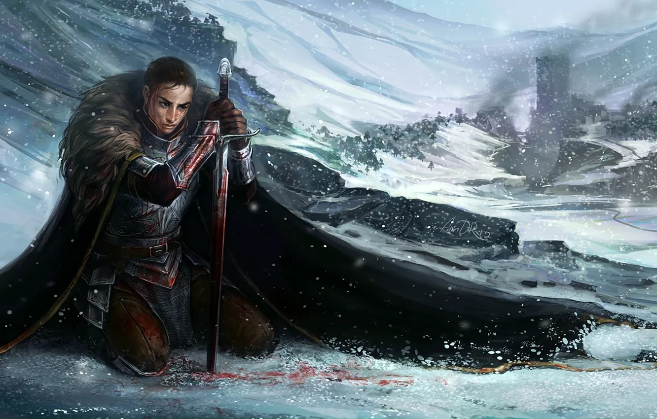 Photo wallpaper blood, sword, armor, warrior, cloak