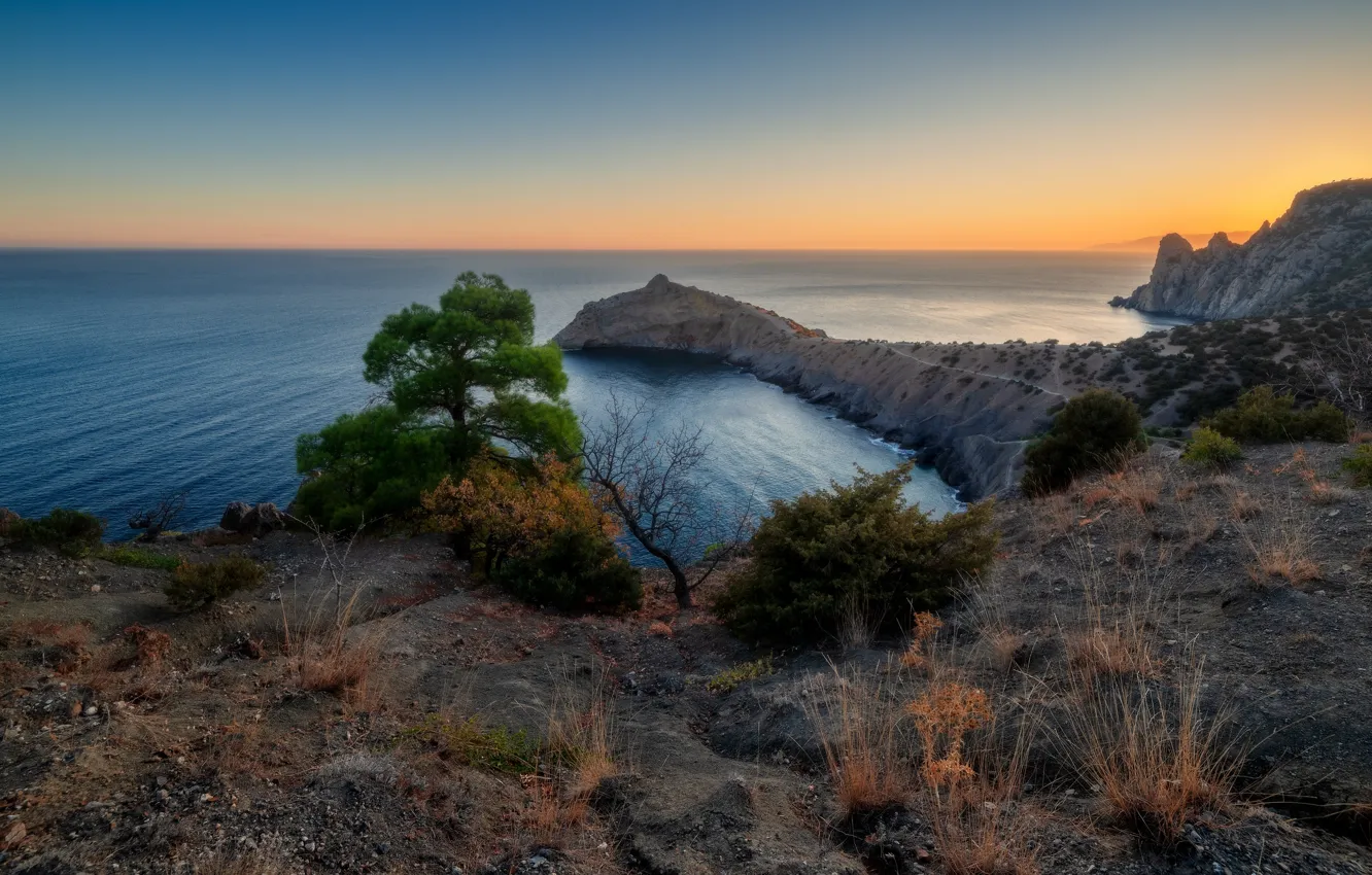 Photo wallpaper sea, grass, trees, landscape, nature, rocks, coast, the evening