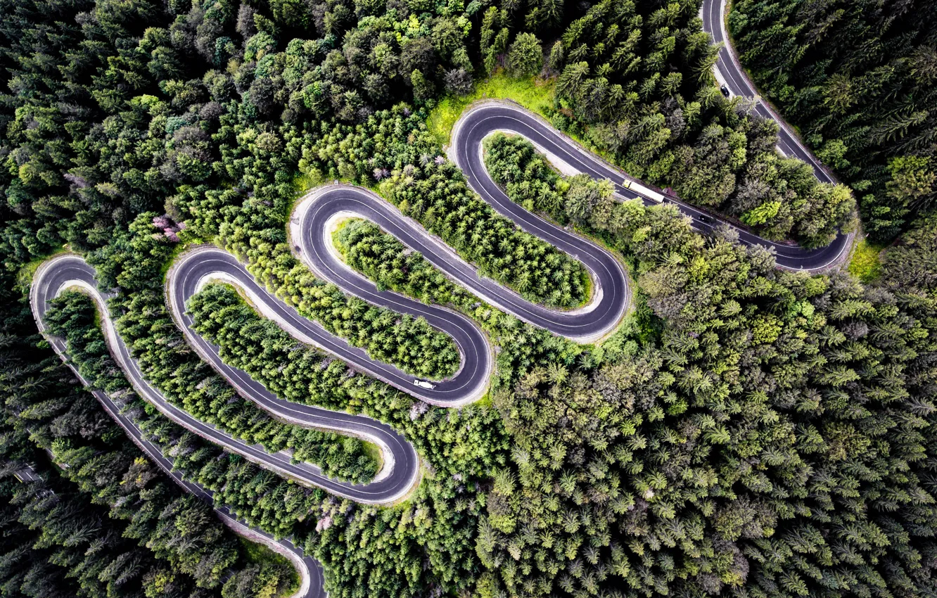 Photo wallpaper road, forest, drone