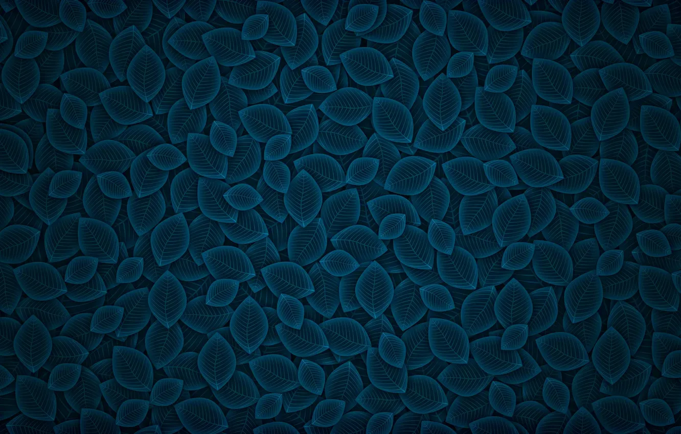 Photo wallpaper leaves, blue, background