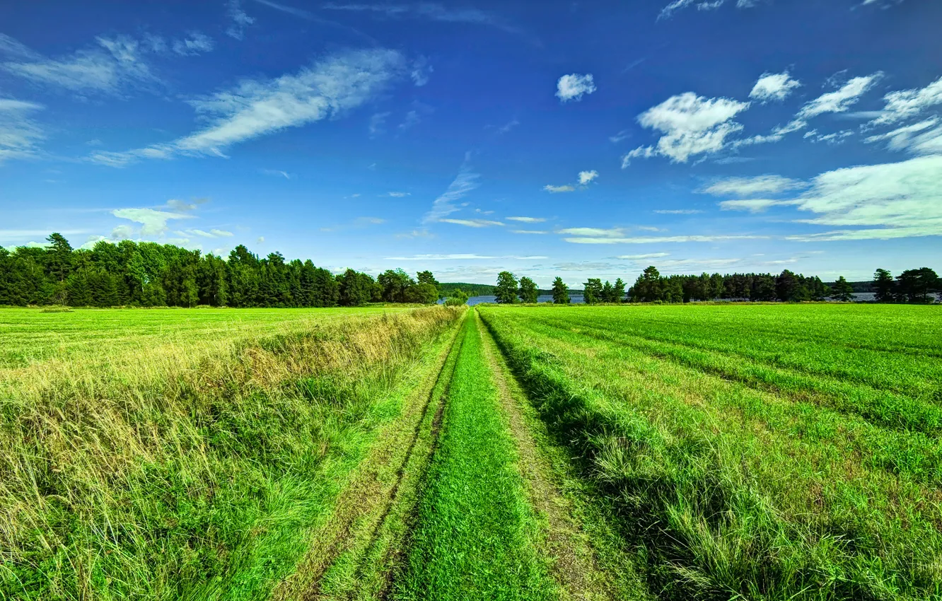 Photo wallpaper road, field, the sky, clouds, trees
