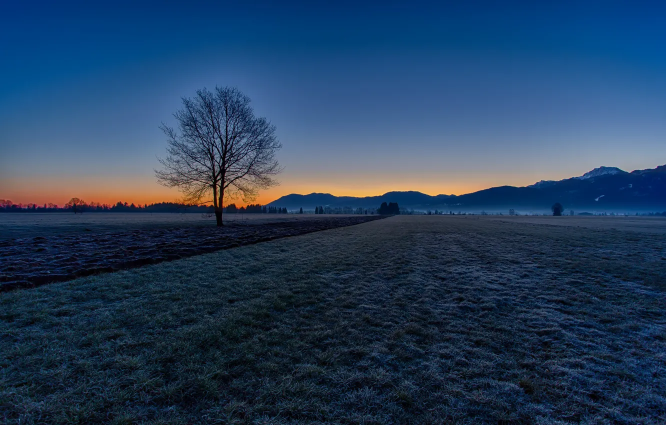 Photo wallpaper frost, field, autumn, the sky, trees, mountains, morning