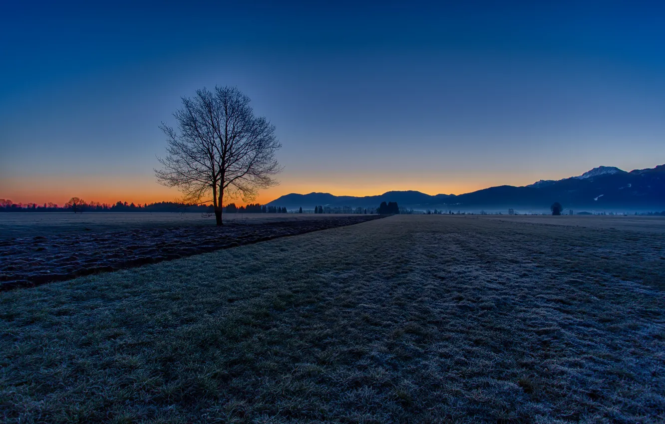 Photo wallpaper frost, field, autumn, the sky, mountains, tree, morning