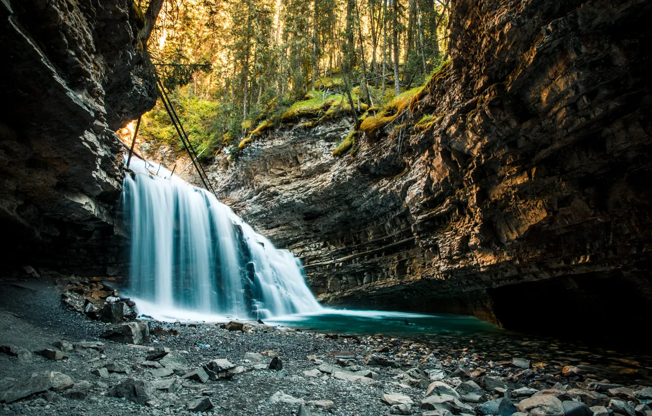 Photo wallpaper forest, nature, river, stones, rocks, waterfall