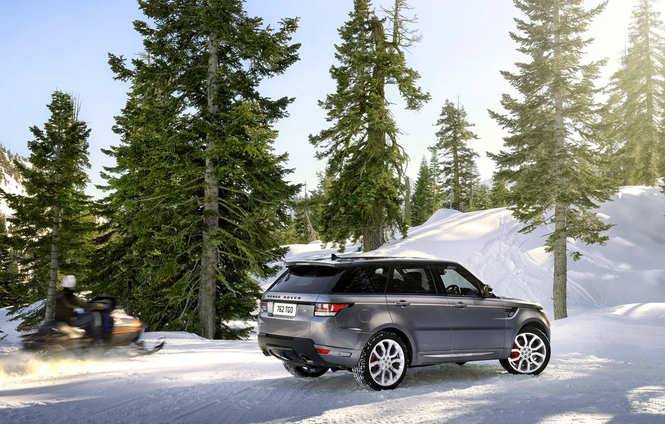 Photo wallpaper Winter, Auto, Snow, Forest, Grey, Land Rover, Range Rover, SUV