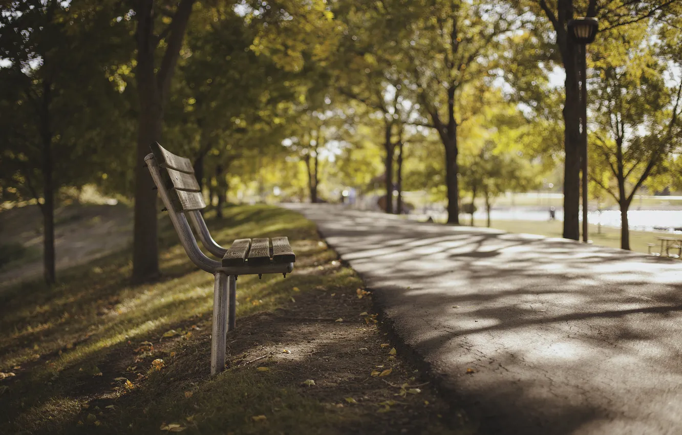 Photo wallpaper bench, Park, square, bench