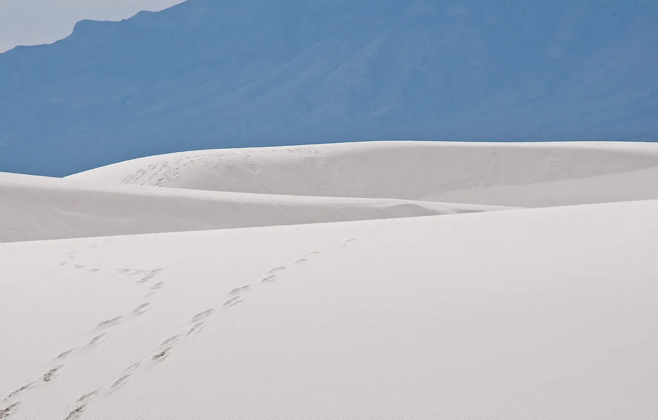 Photo wallpaper sand, traces, desert