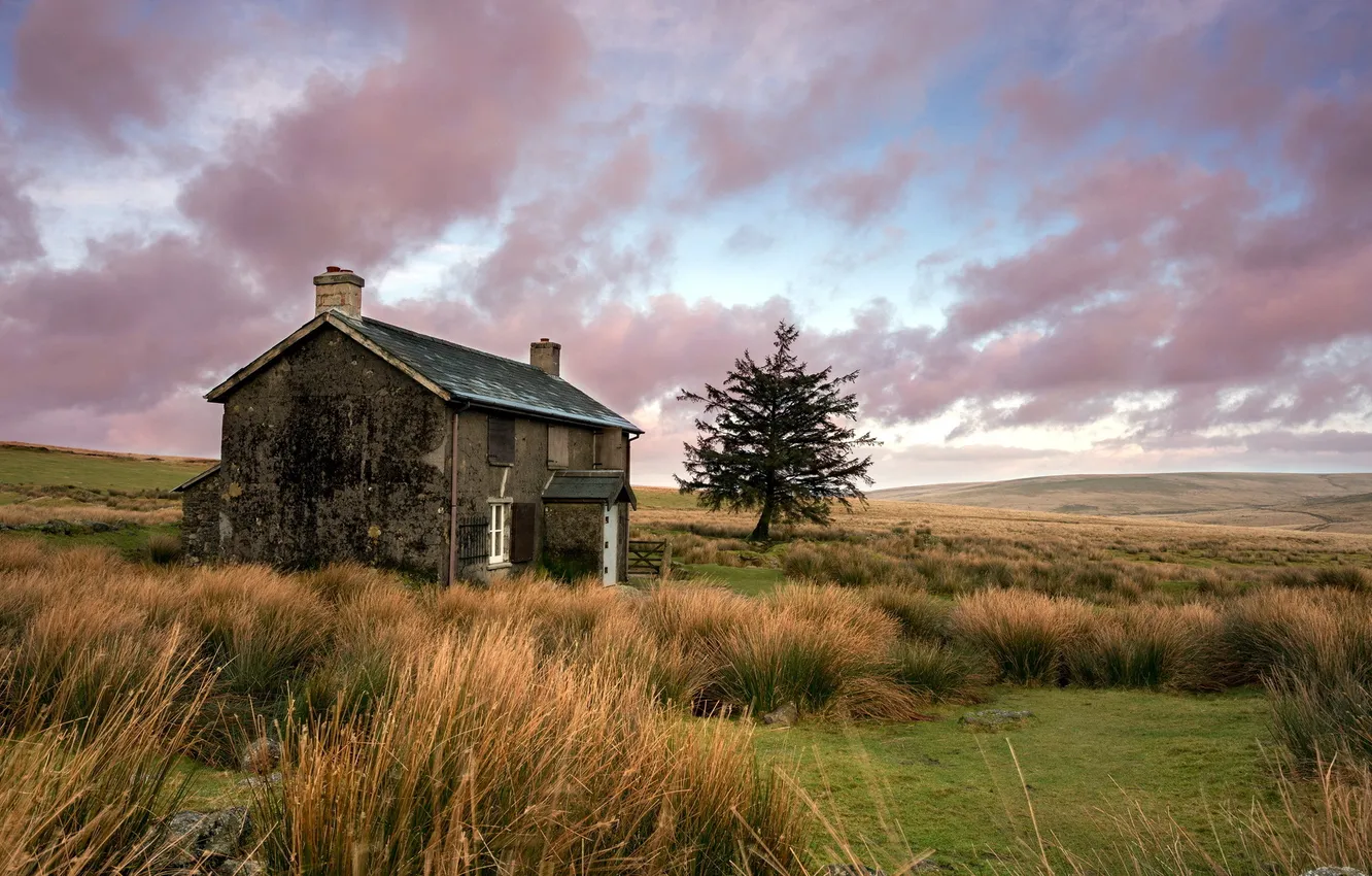 Photo wallpaper field, sunset, home