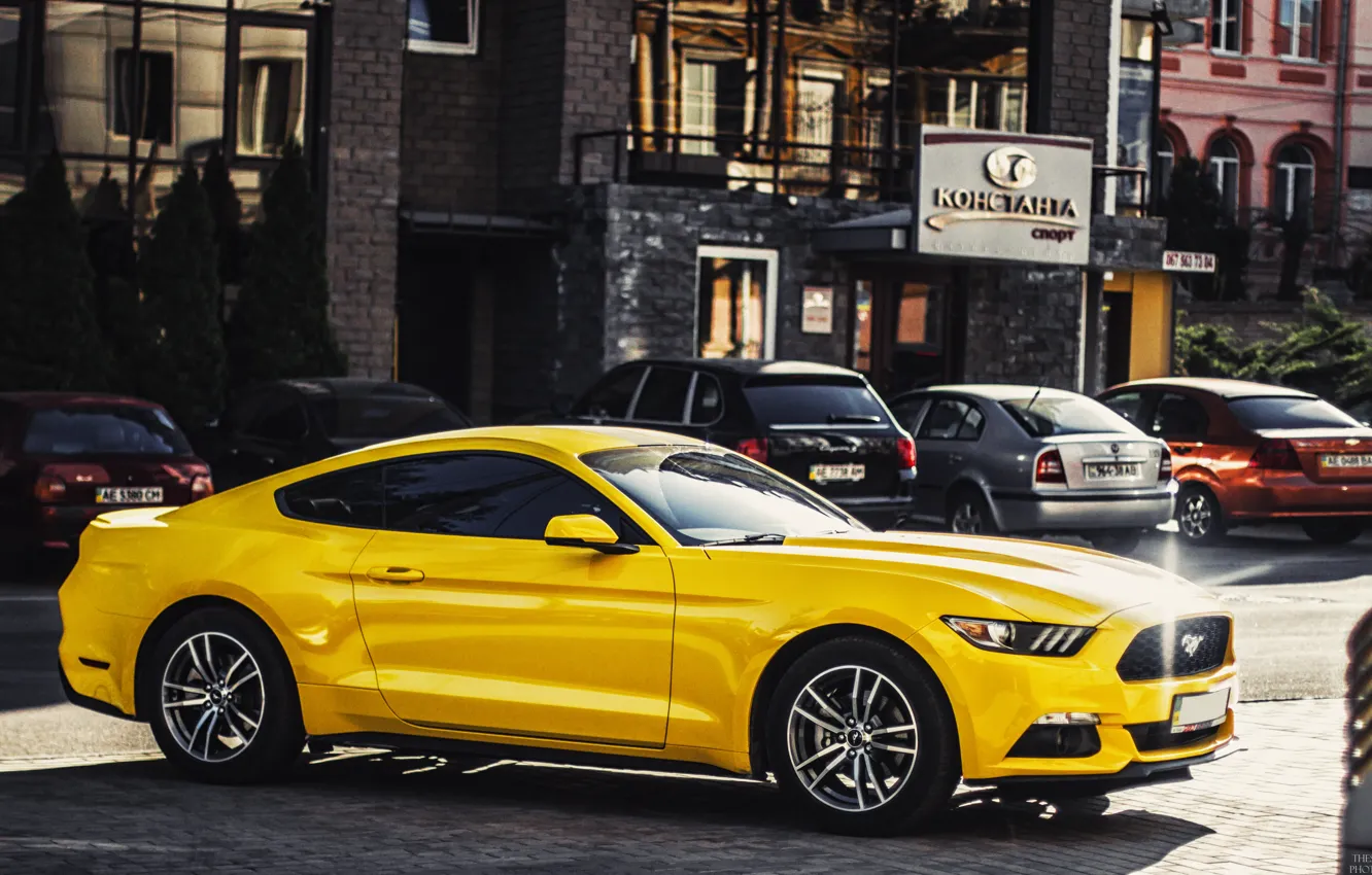 Photo wallpaper mustang, ford, 2015, Dnepropetrovsk