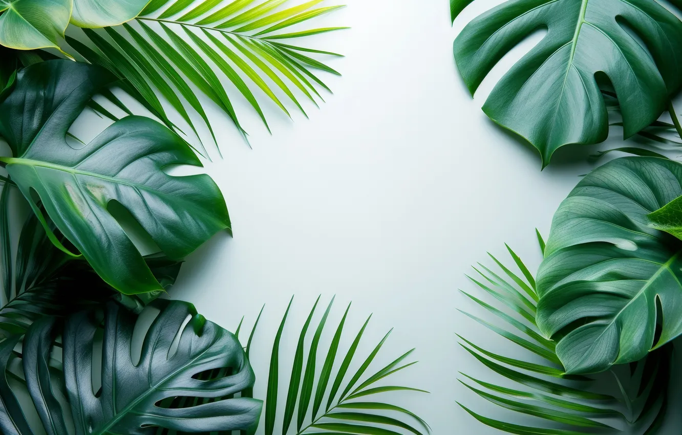 Photo wallpaper leaves, tropics, texture, frame, Exotic, Tropical Plants, AI art, neural network