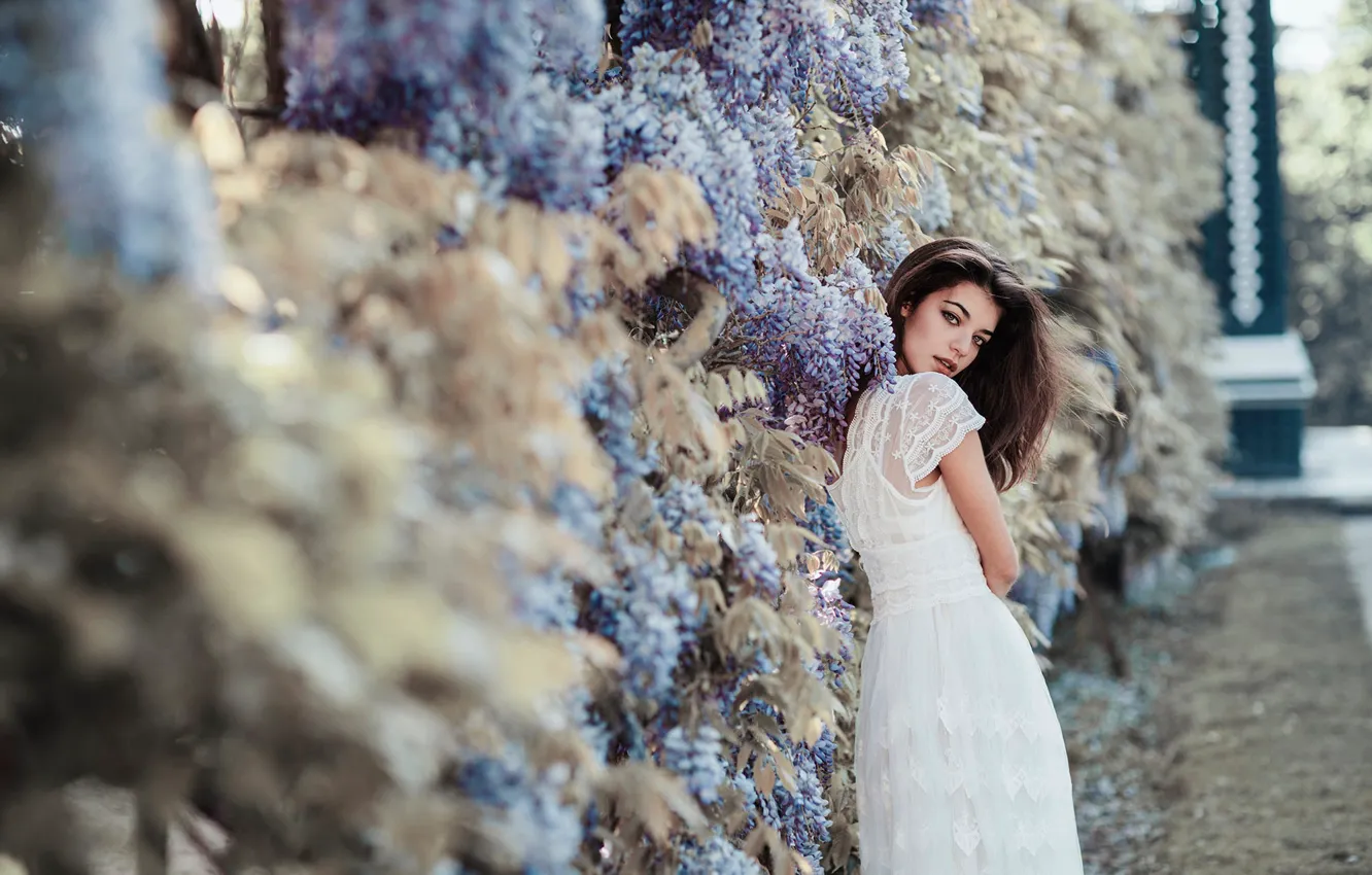 Photo wallpaper girl, pose, dress, Jovana Rikala