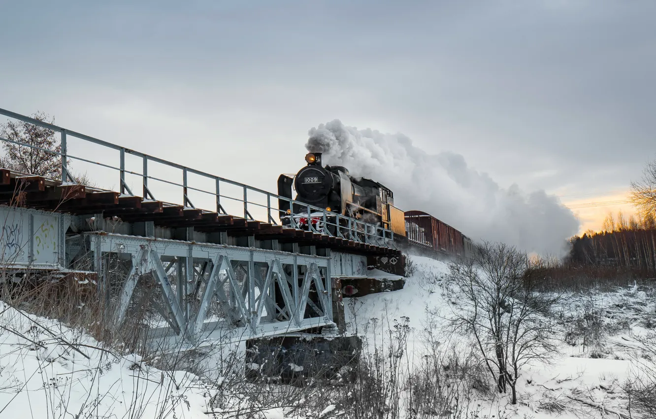 Photo wallpaper winter, bridge, train, the engine