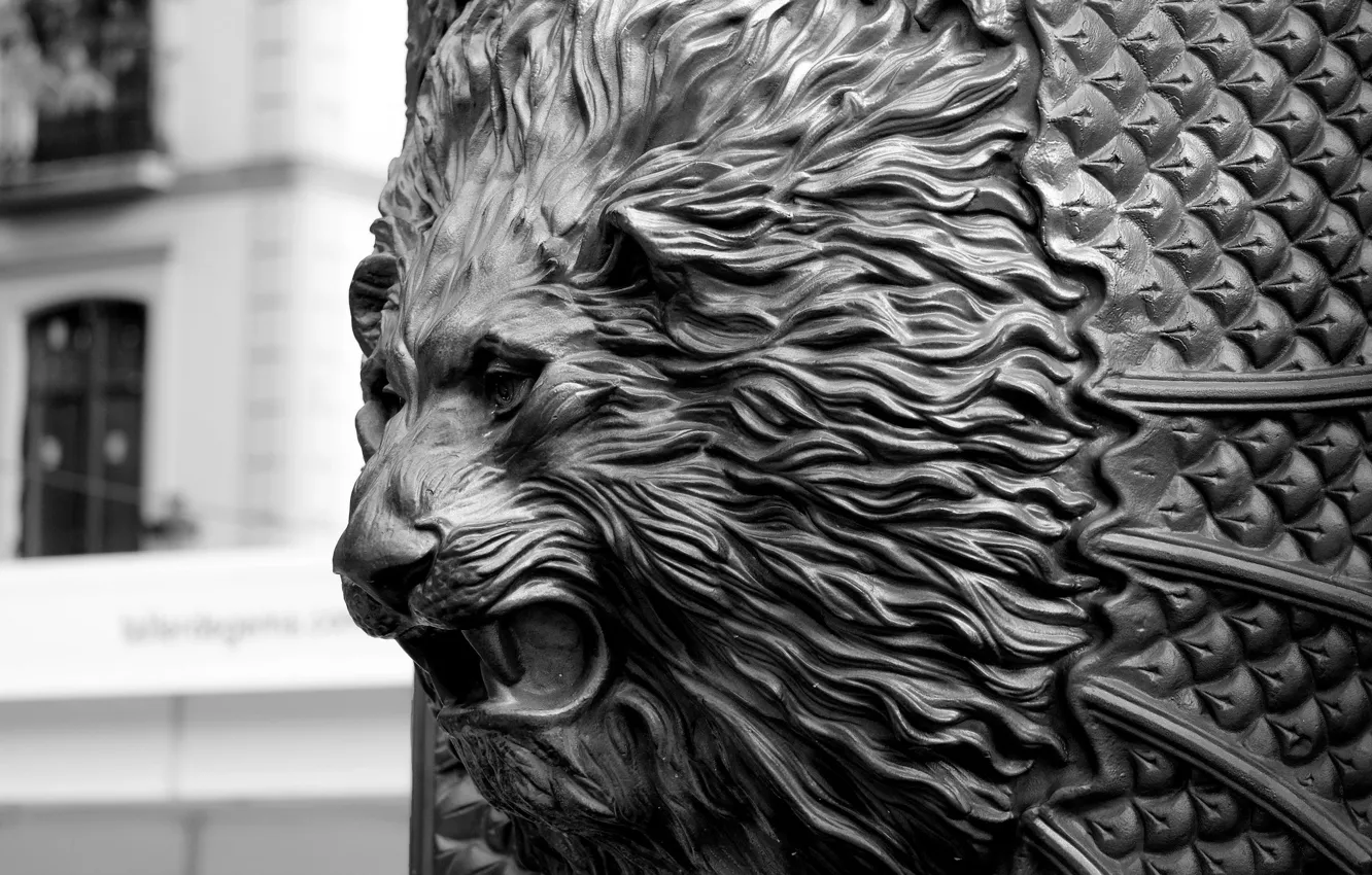 Photo wallpaper face, Leo, gate, mane