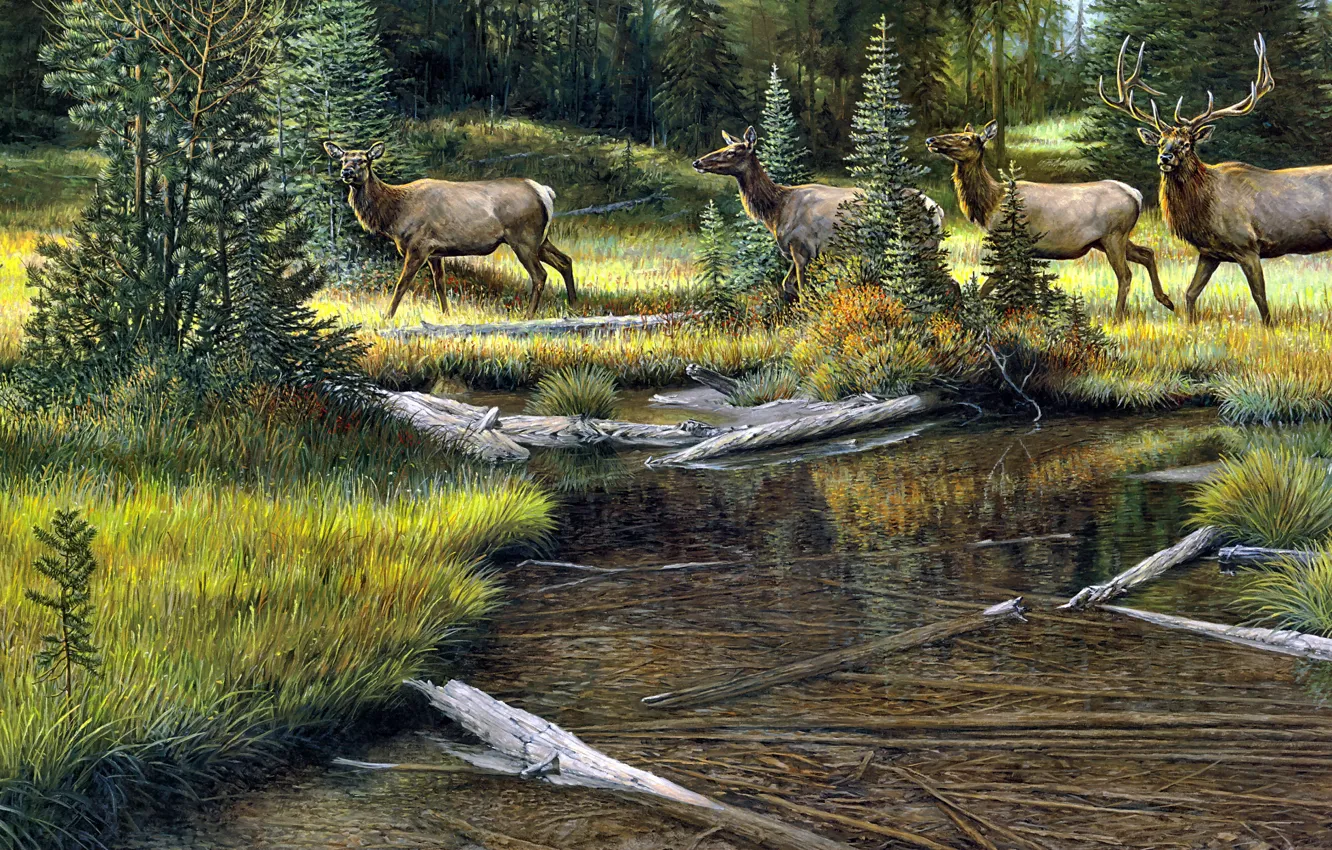 Photo wallpaper forest, shore, figure, picture, deer, art, painting, pond