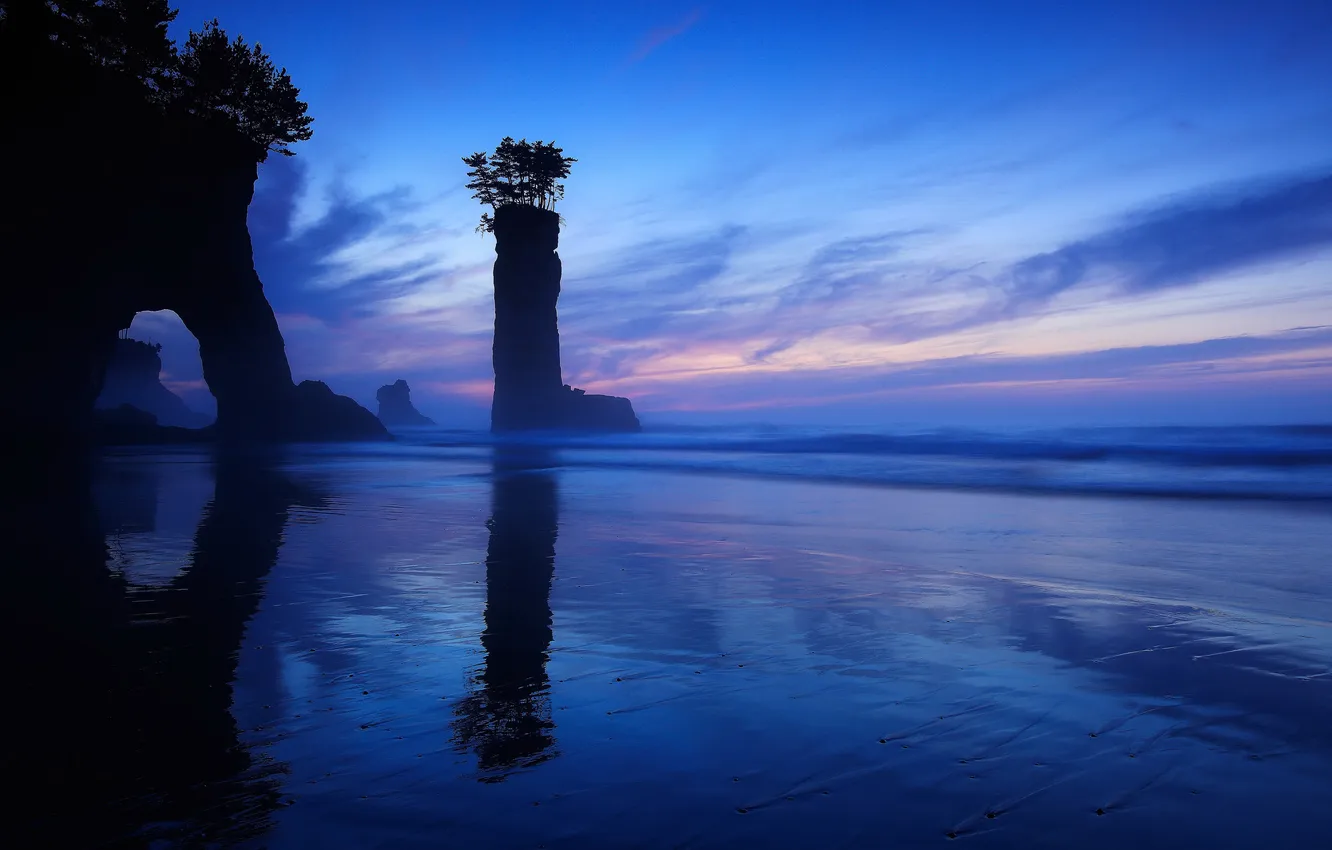 Photo wallpaper sea, trees, night, stones, rocks, shore, silhouette