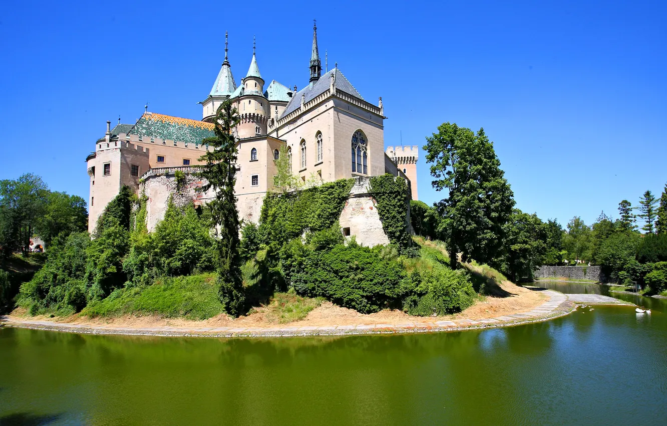 Photo wallpaper greens, trees, pond, castle, the bushes, ditch, Slovakia, Castle Bojnice