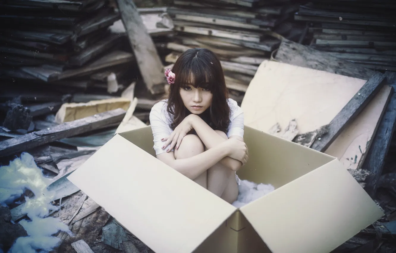 Photo wallpaper girl, box, Asian