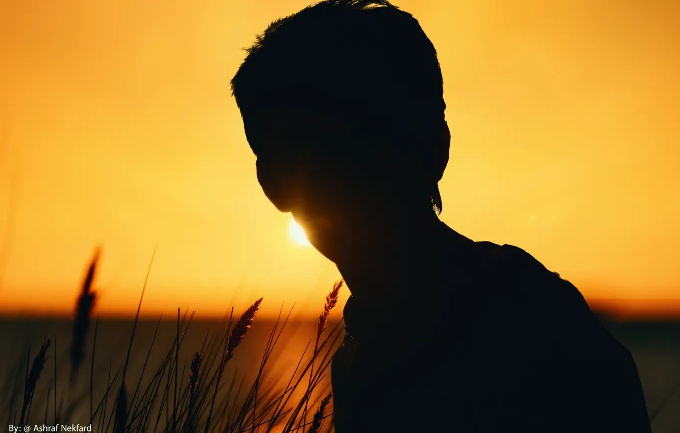 Photo wallpaper light, golden, black, yellow, sunny day, holiday, Secret, sunlight