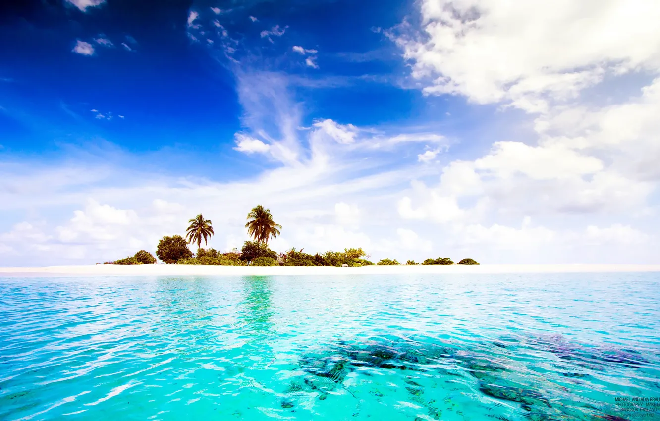 Photo wallpaper tropics, palm trees, the ocean, island, The Maldives, Maldives, paradise