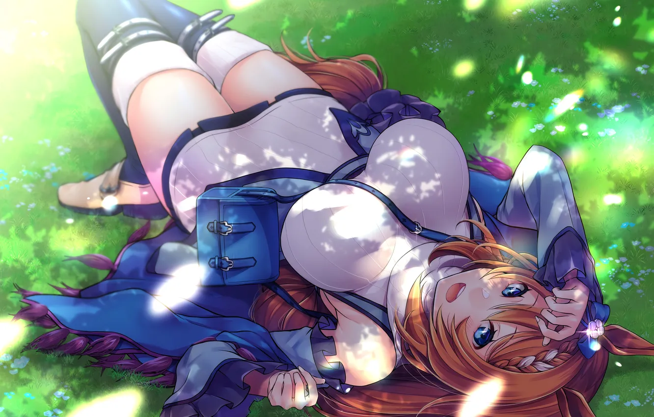 Photo wallpaper girl, grass, sexy, thighhighs, long hair, dress, boobs, animal ears