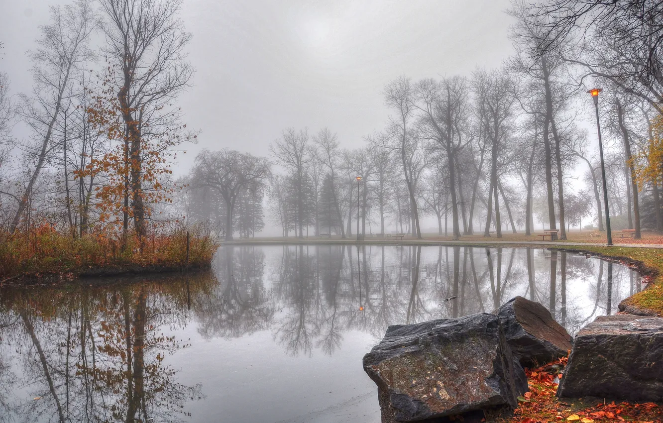 Photo wallpaper autumn, trees, fog, pond, Park, stones