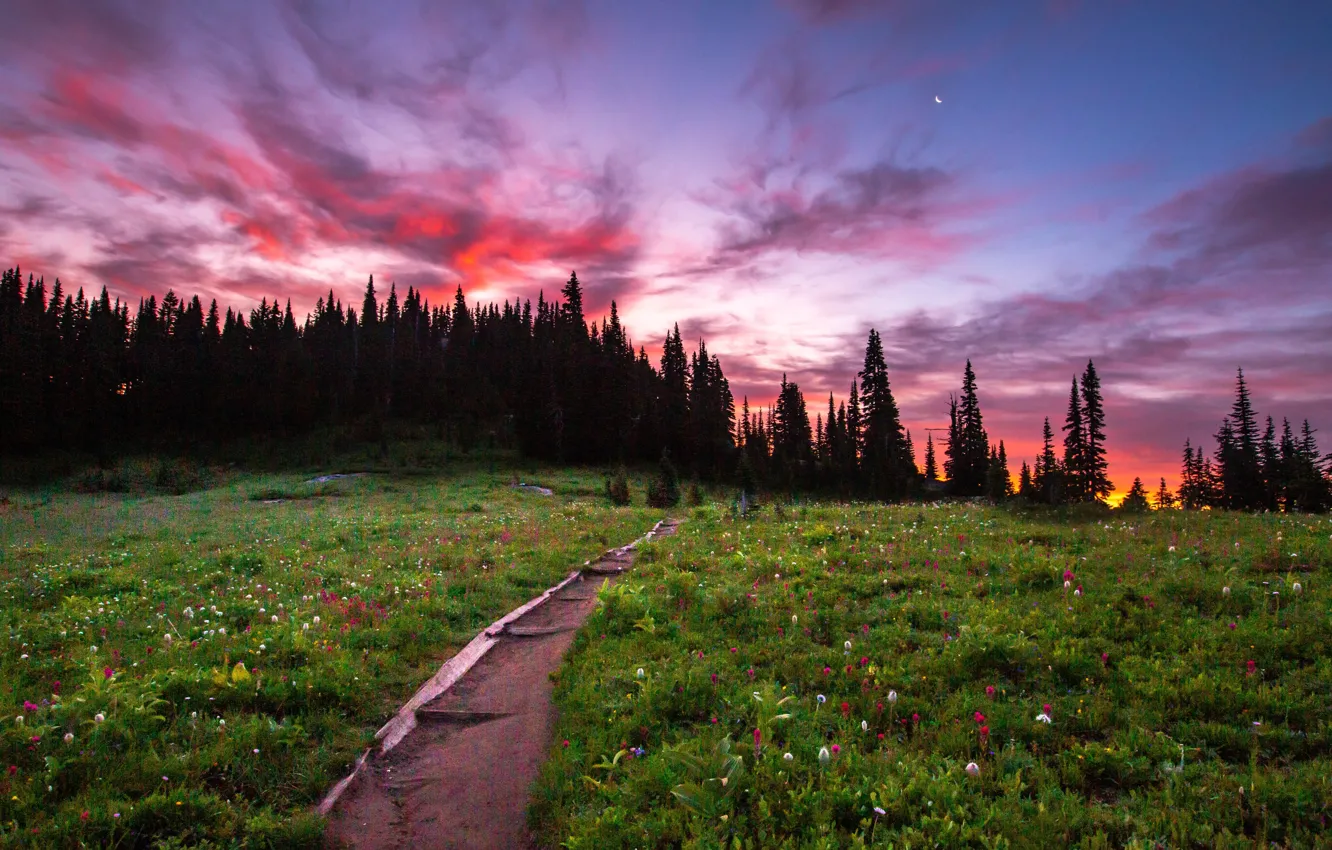 Photo wallpaper trees, landscape, sunset, nature, meadow, track, USA, grass