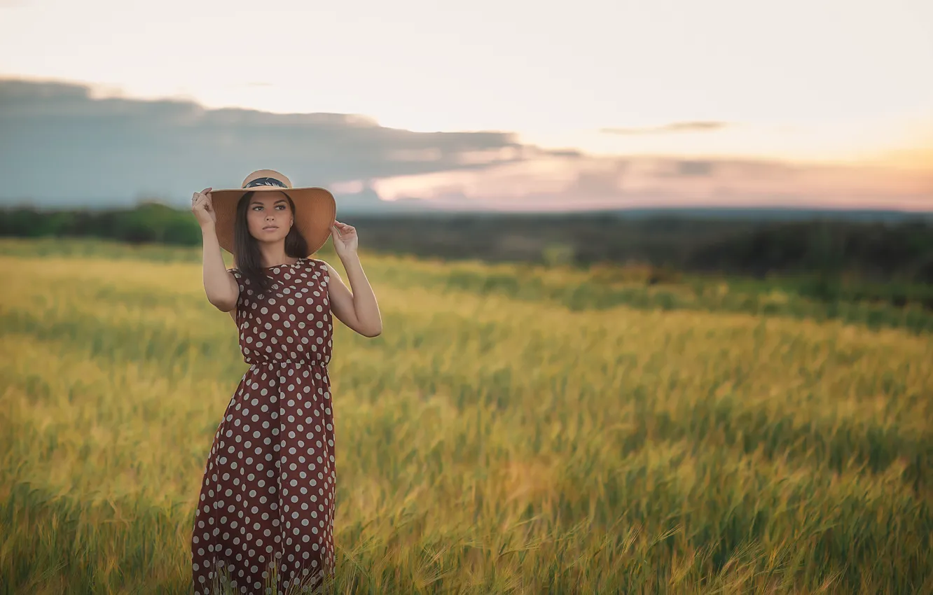 Photo wallpaper field, girl, hat, dress, Catherine Zayniev